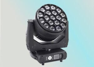 CP018-BEES EYE 19*40 WTS